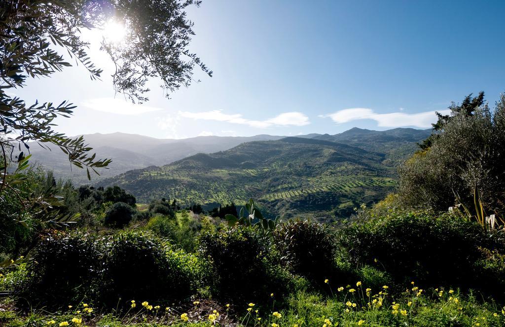 Casa Migliaca Villa Pettineo Екстериор снимка